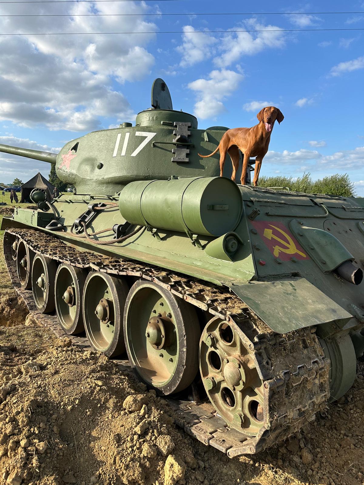 T-34 - Photo 2